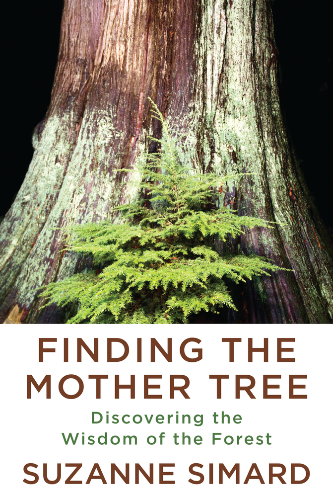 Cover of Suzanne Simard's Book, 'Finding the Mother Tree, Discovering the Wisdom of the Forest'